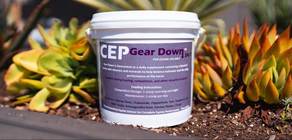CEP Gear Down 24/7