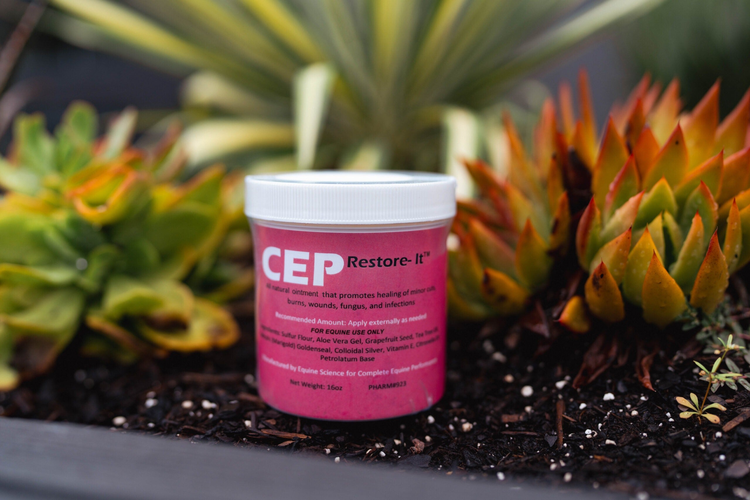 CEP Restore-It