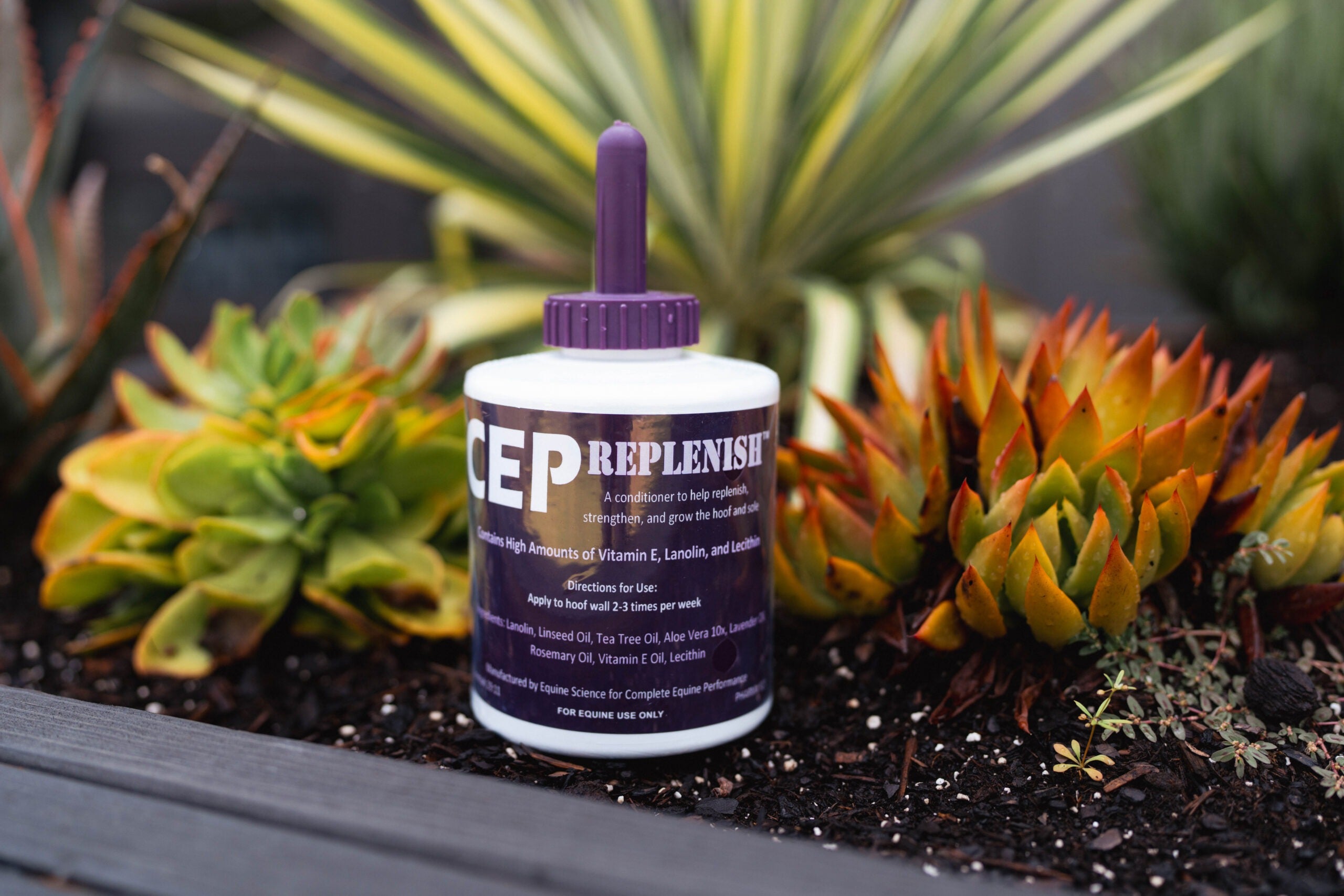 CEP Replenish Hoof Paint