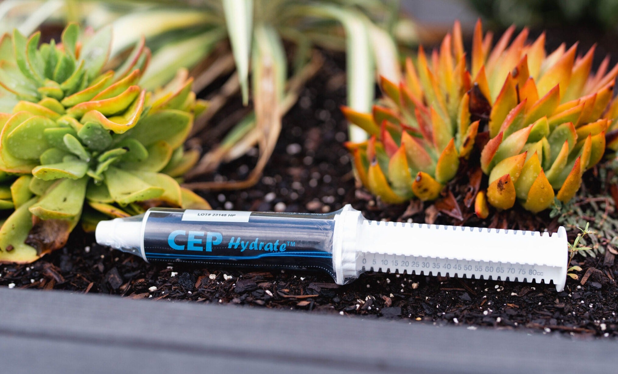 CEP Hydrate Paste