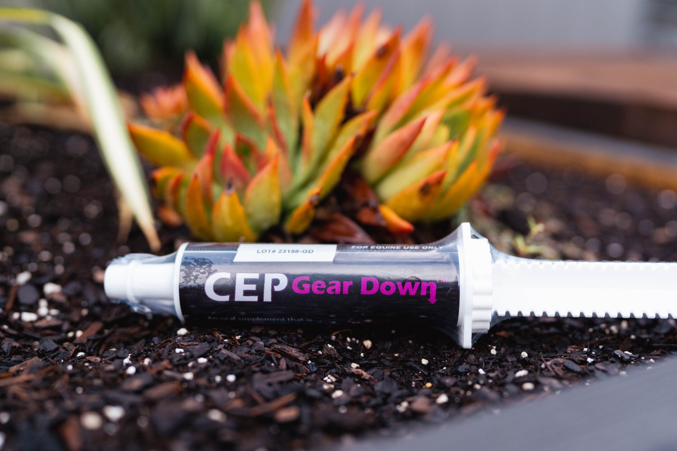 CEP Gear Down Paste