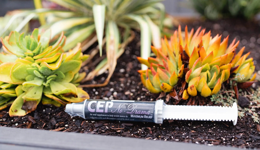 CEP No-Drama Paste Complete Equine Performance