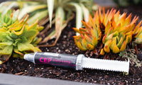 CEP Daily-Lung Paste