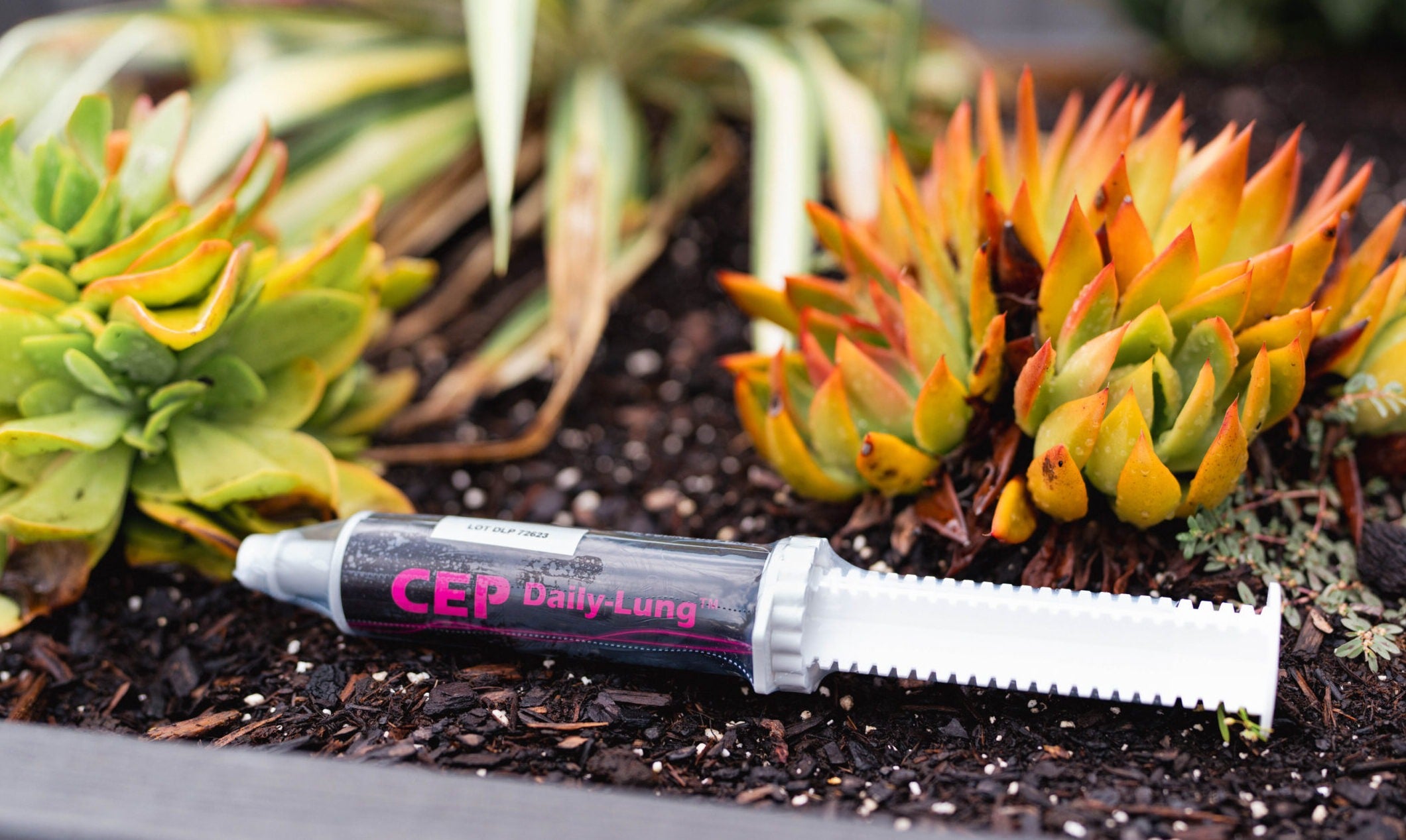 CEP Daily-Lung Paste