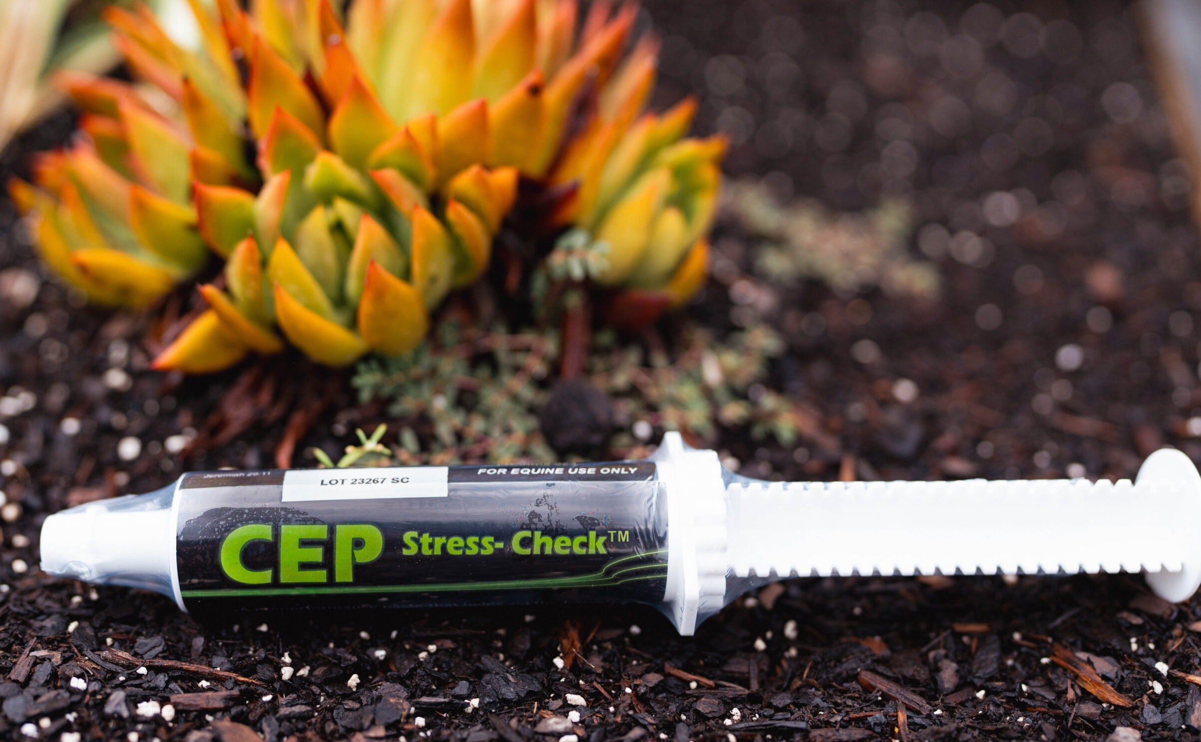 CEP Stress-Check Paste