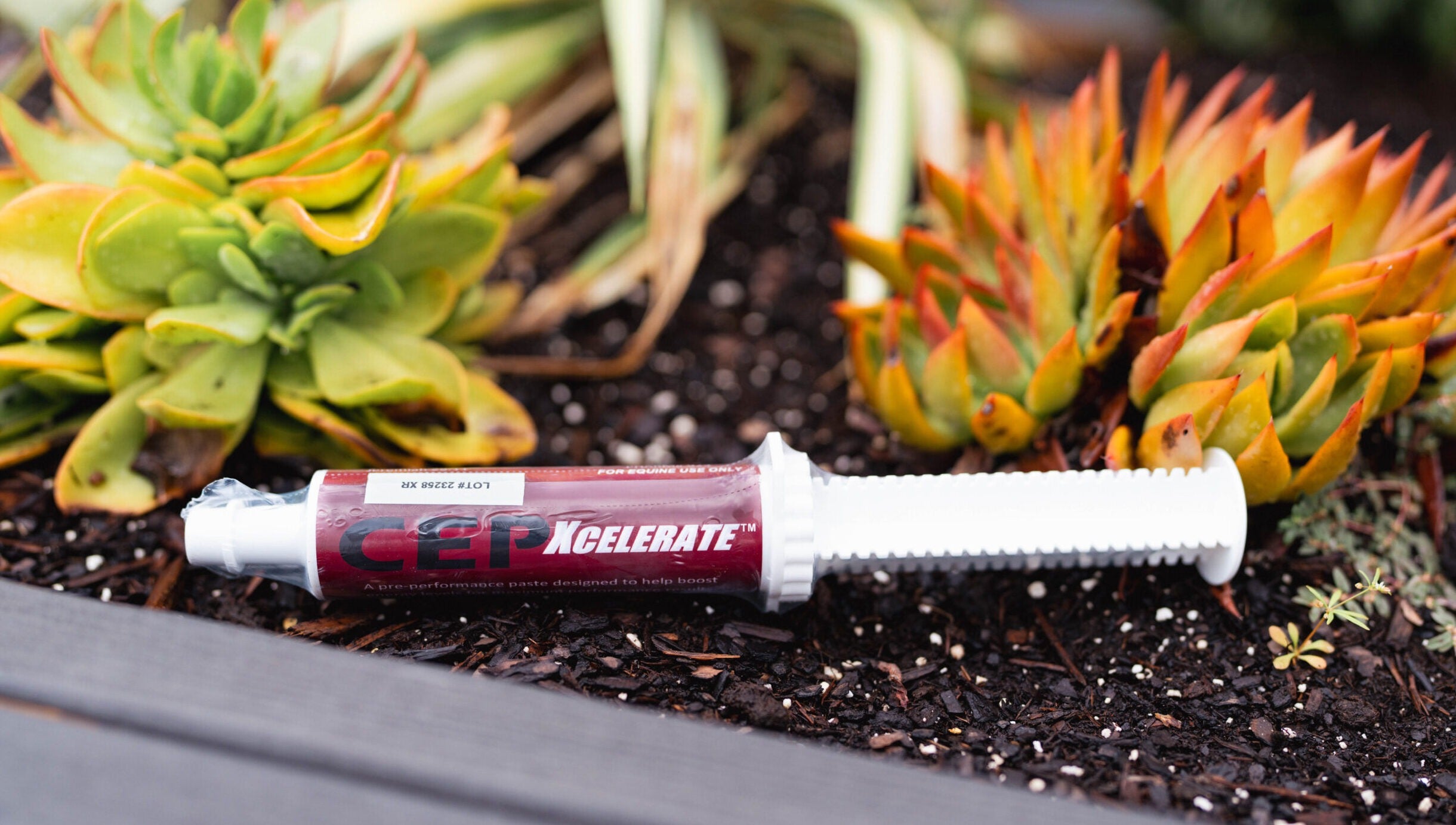 CEP Xcelerate Paste