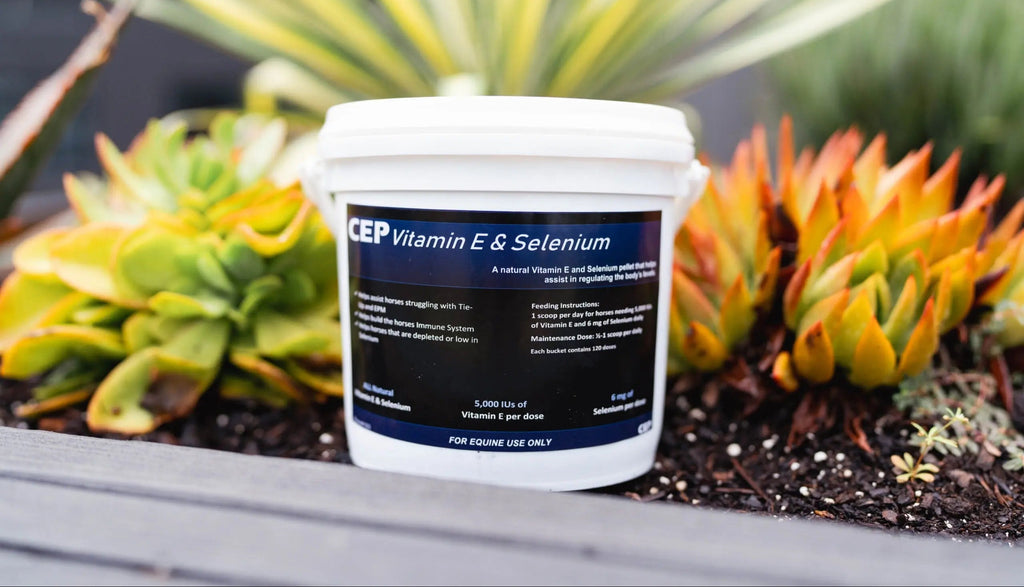 CEP Vitamin E & Selenium Complete Equine Performance