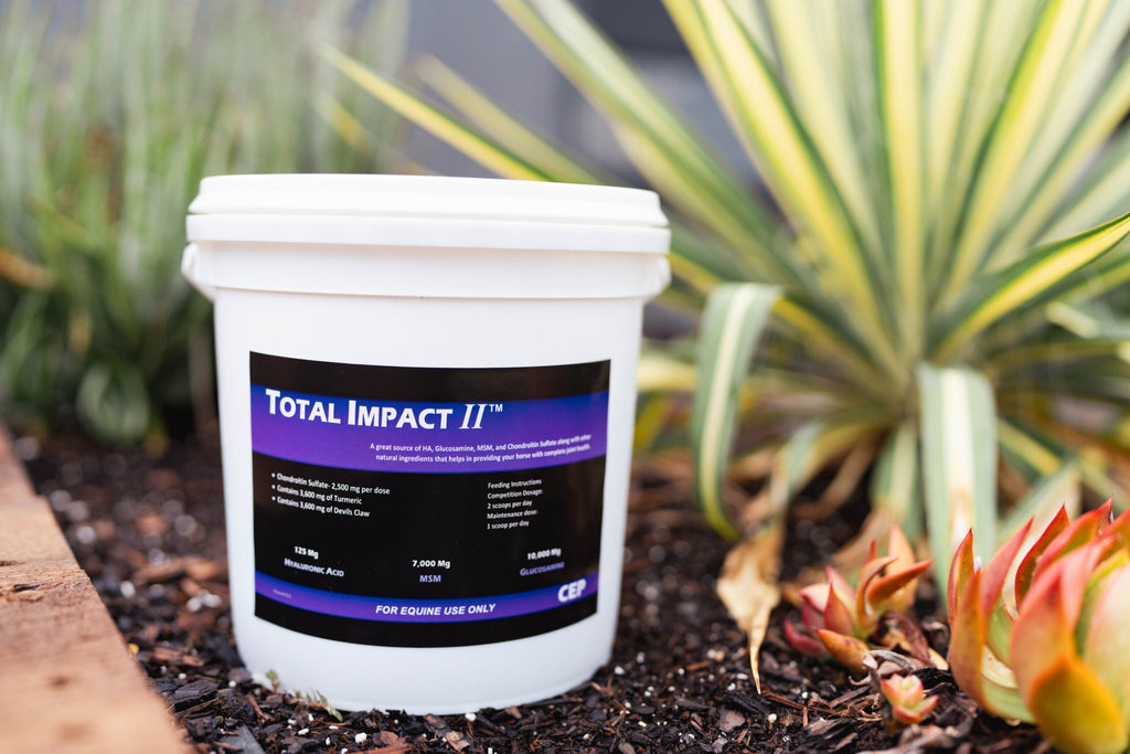 CEP Total Impact II