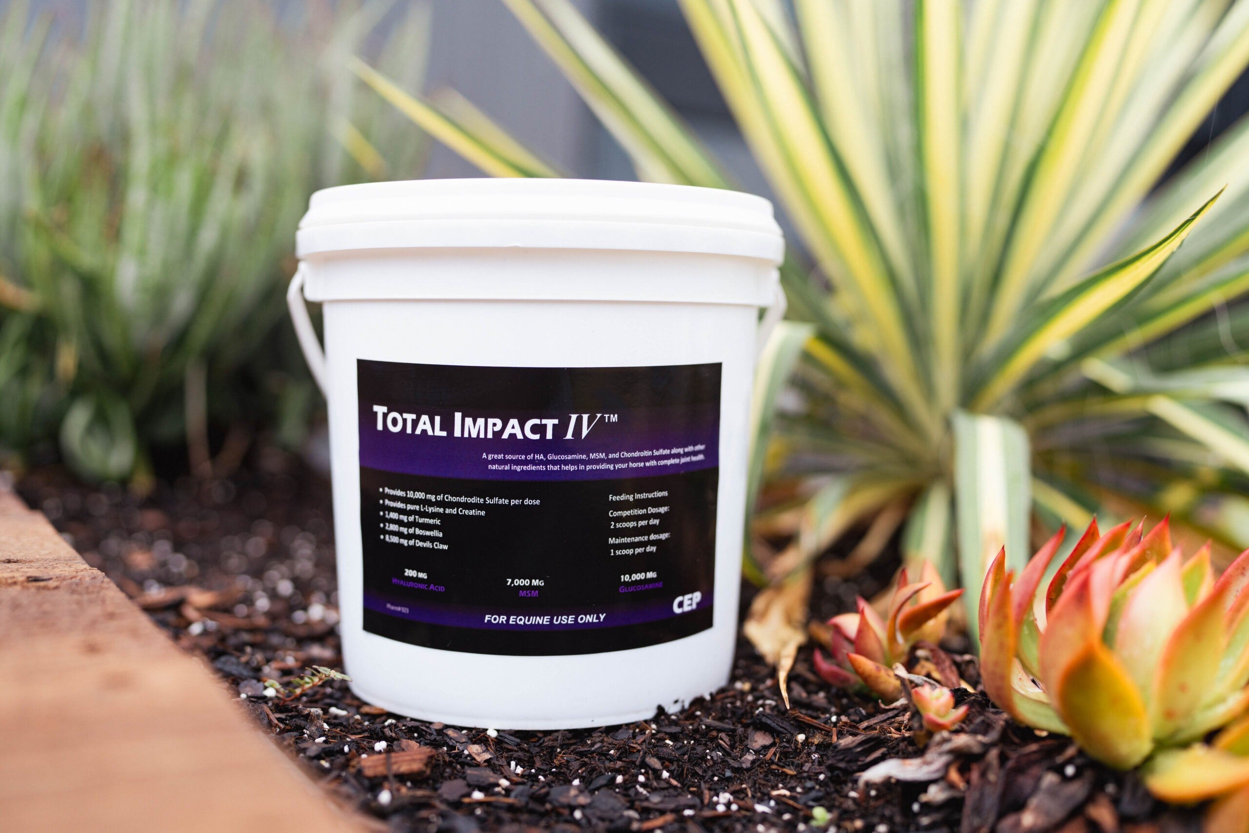 CEP Total Impact IV