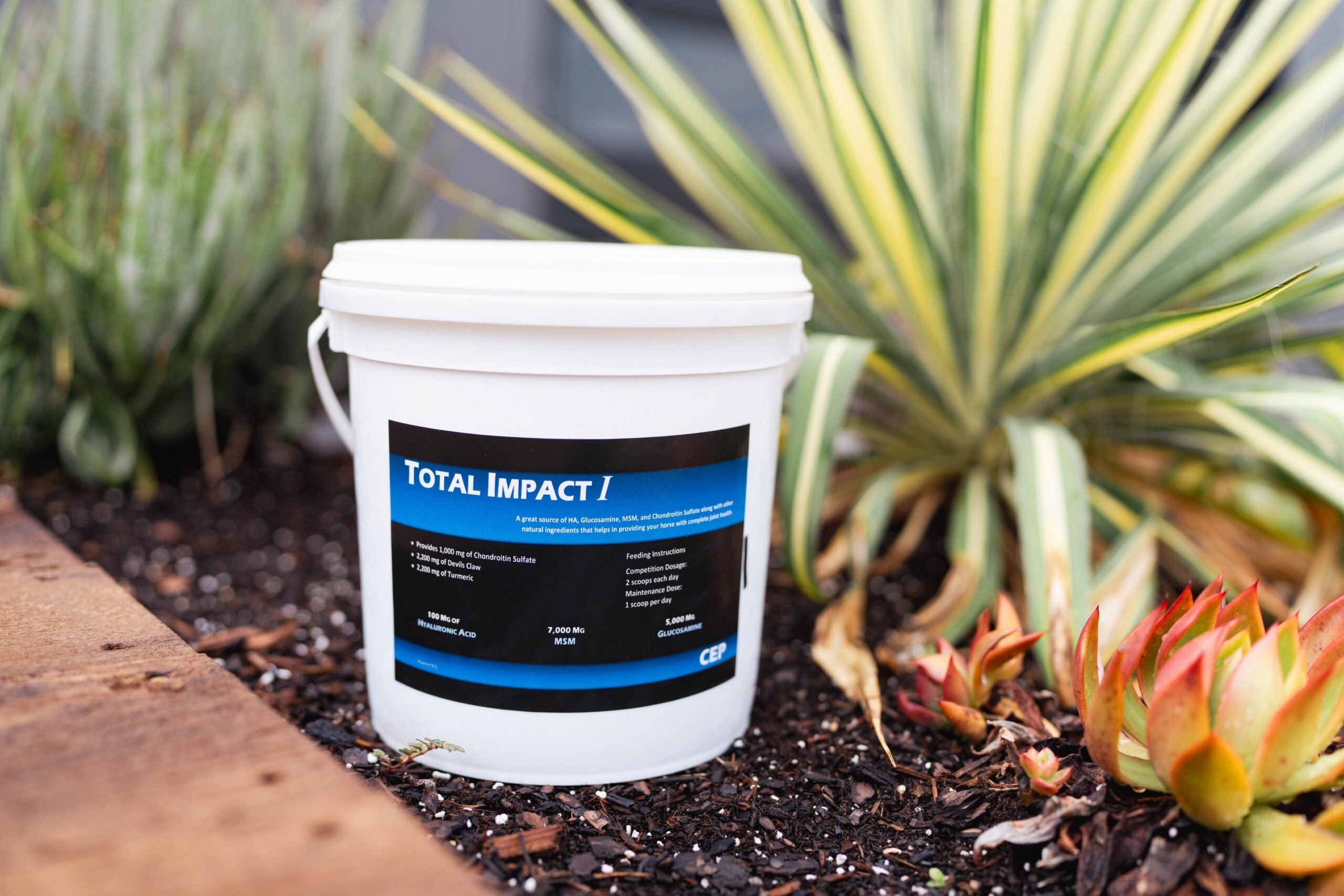 CEP Total Impact I