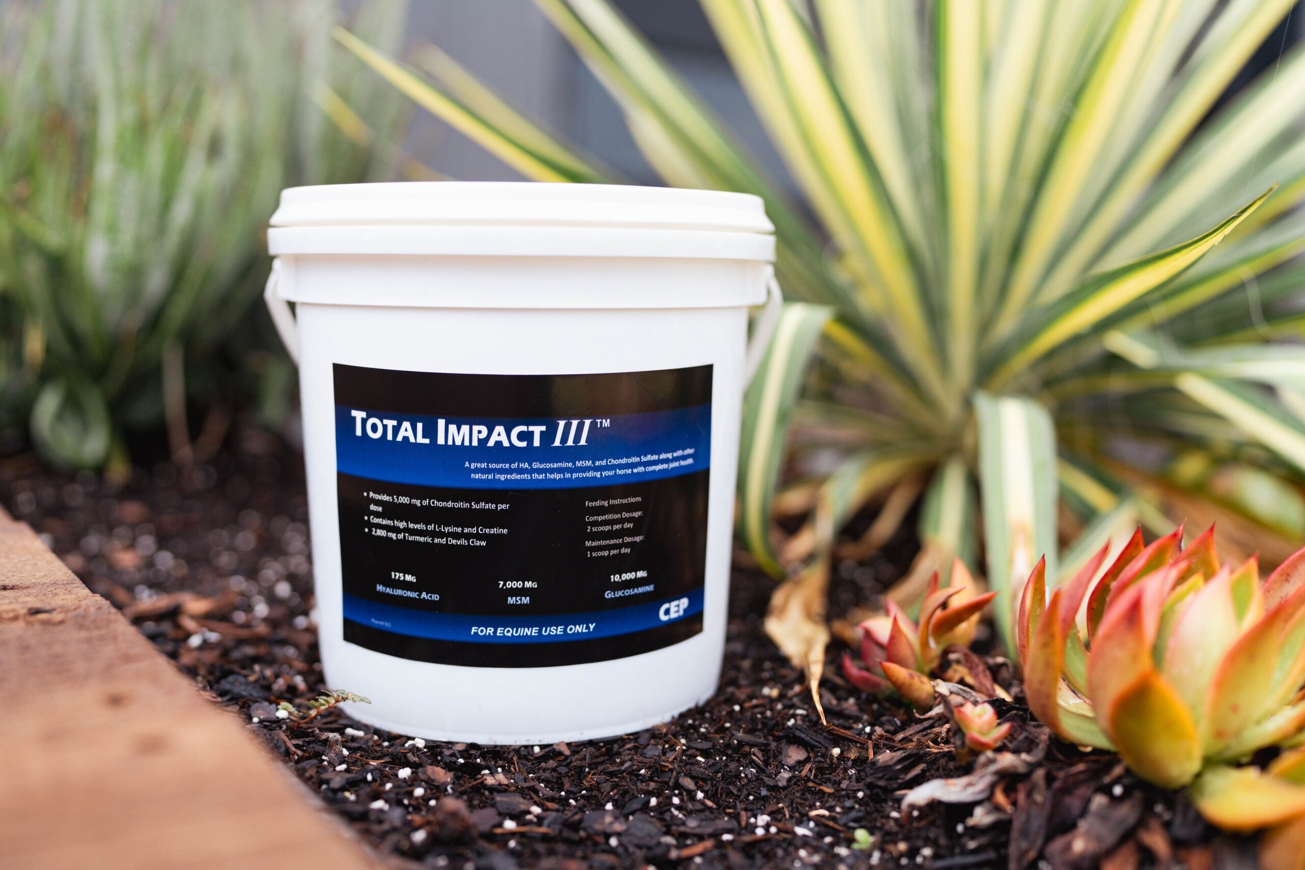 CEP Total Impact III