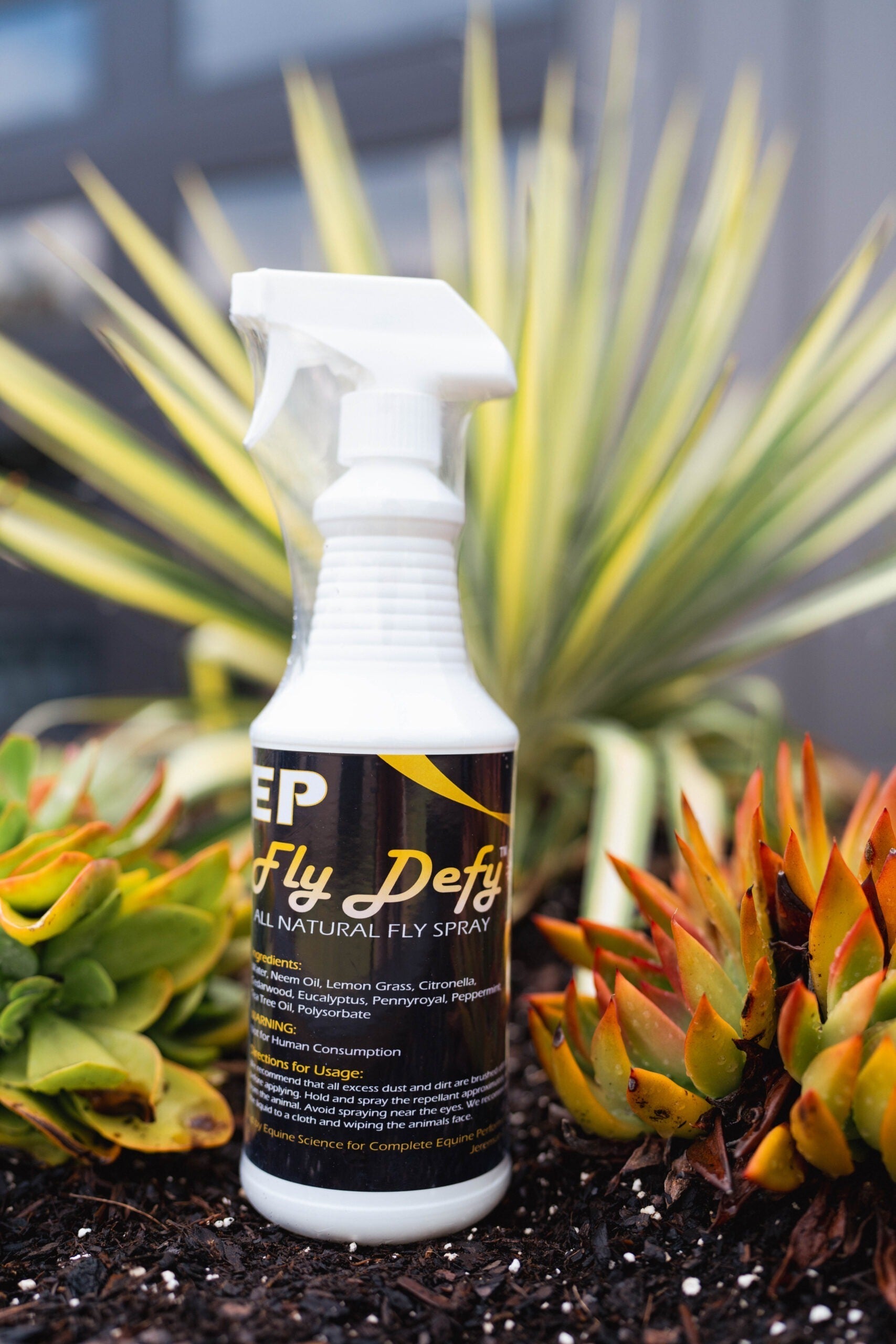 CEP Fly Defy