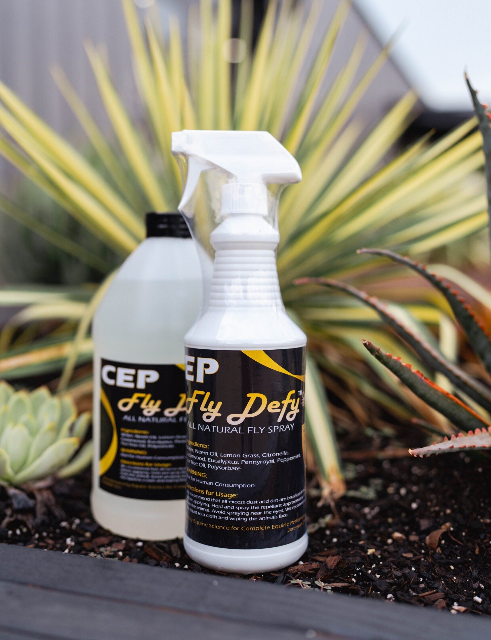 CEP Fly Defy