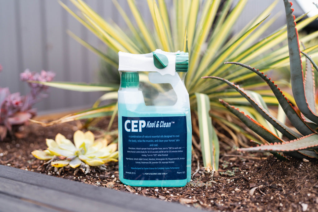 CEP Kool & Clean Refill