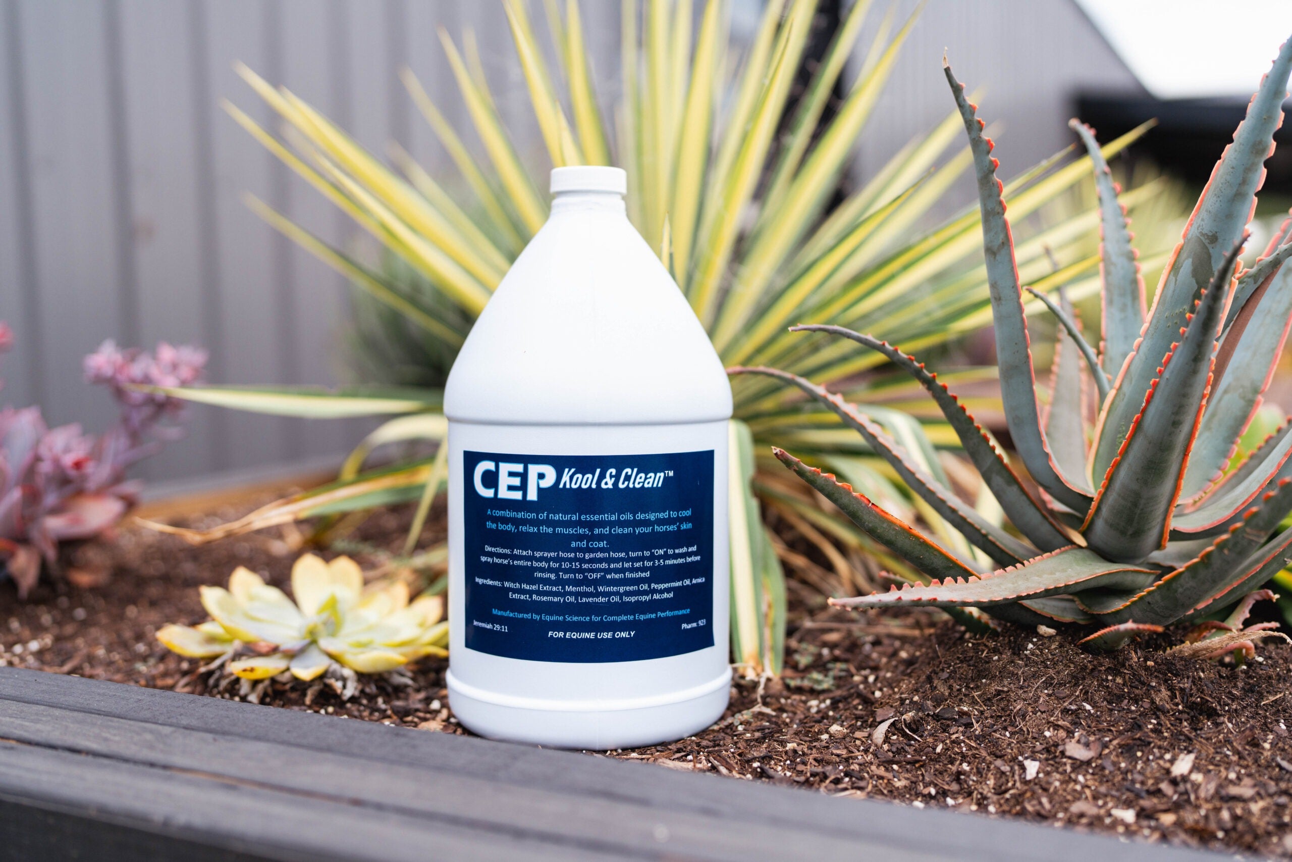 CEP Kool & Clean Foamer