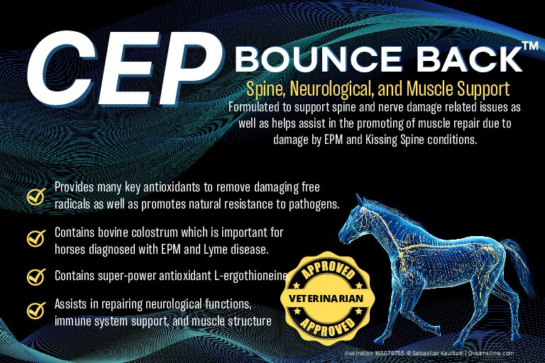 CEP Bounce Back