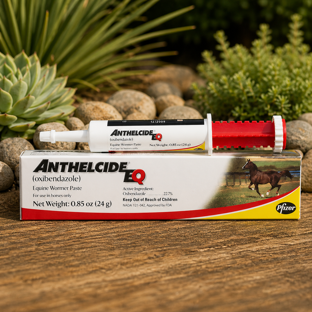 Anthelcide (Oxibendazole) EQ Wormer Paste, 24gm