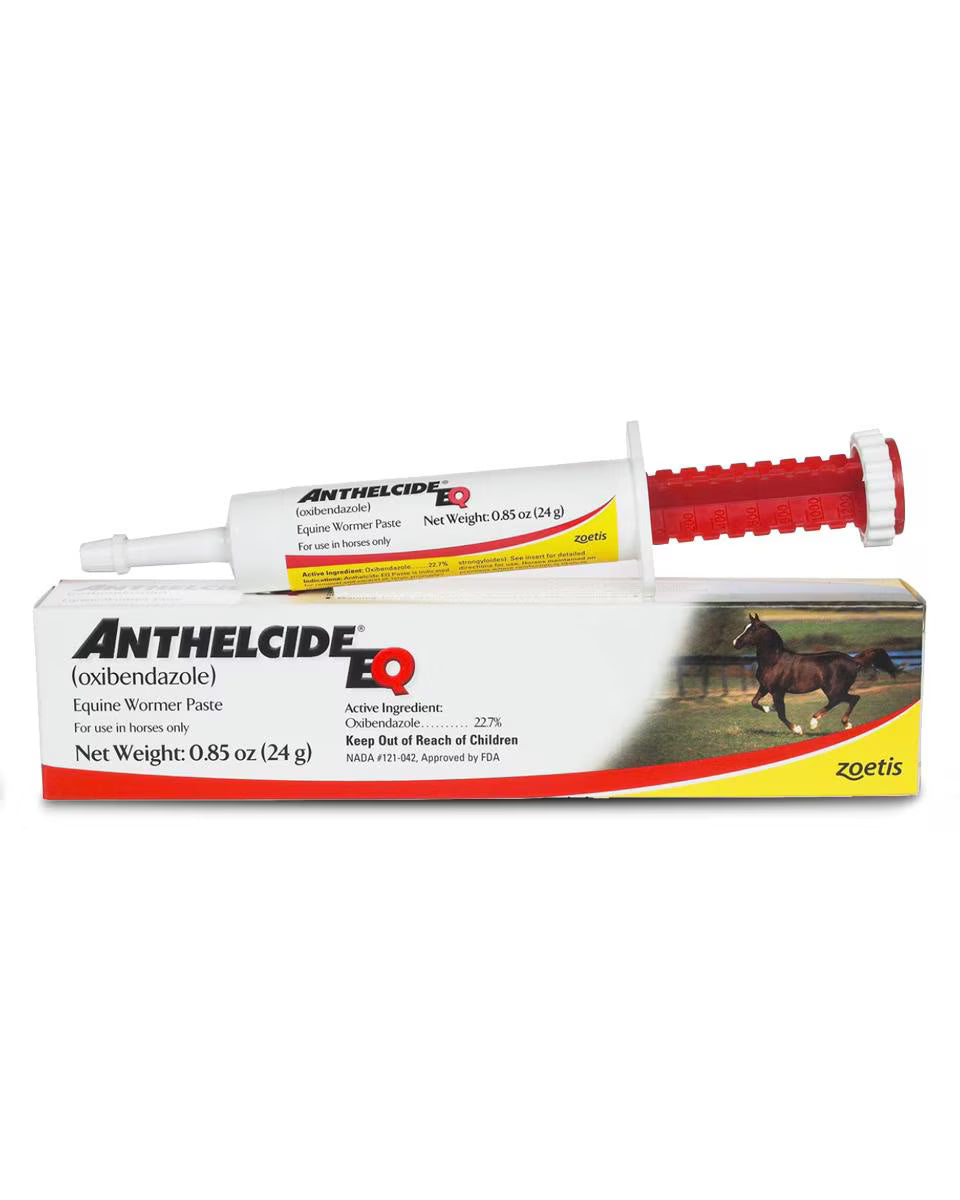 Anthelcide (Oxibendazole) EQ Wormer Paste, 24gm
