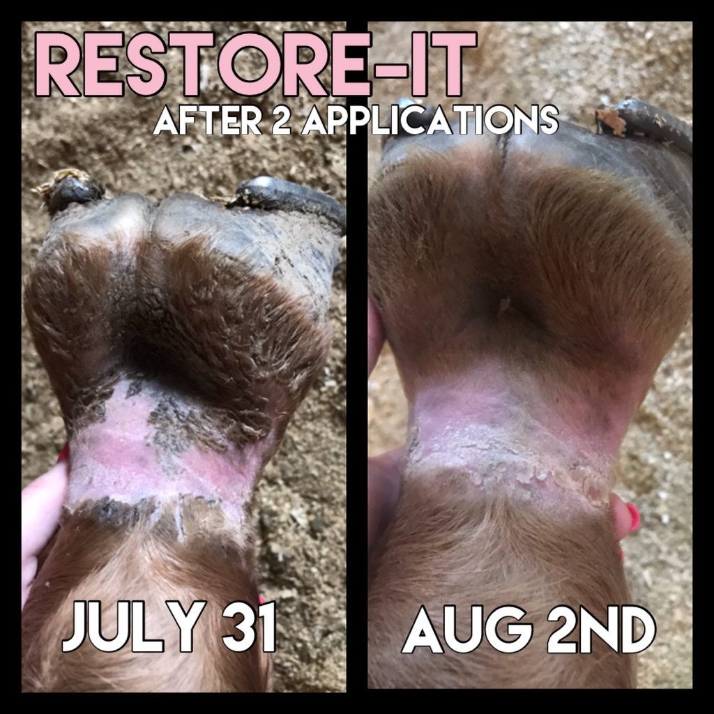 CEP Restore-It