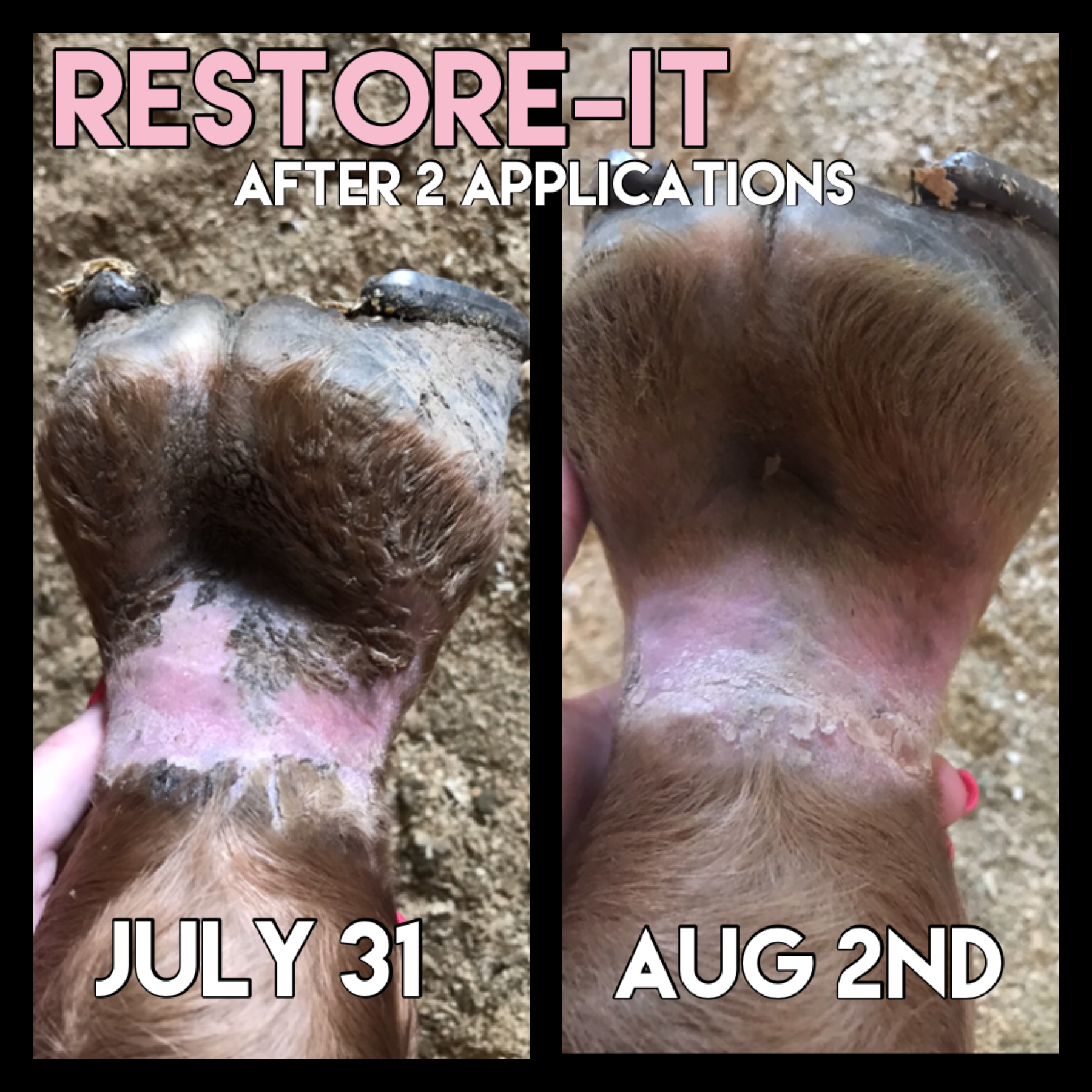 CEP Restore-It