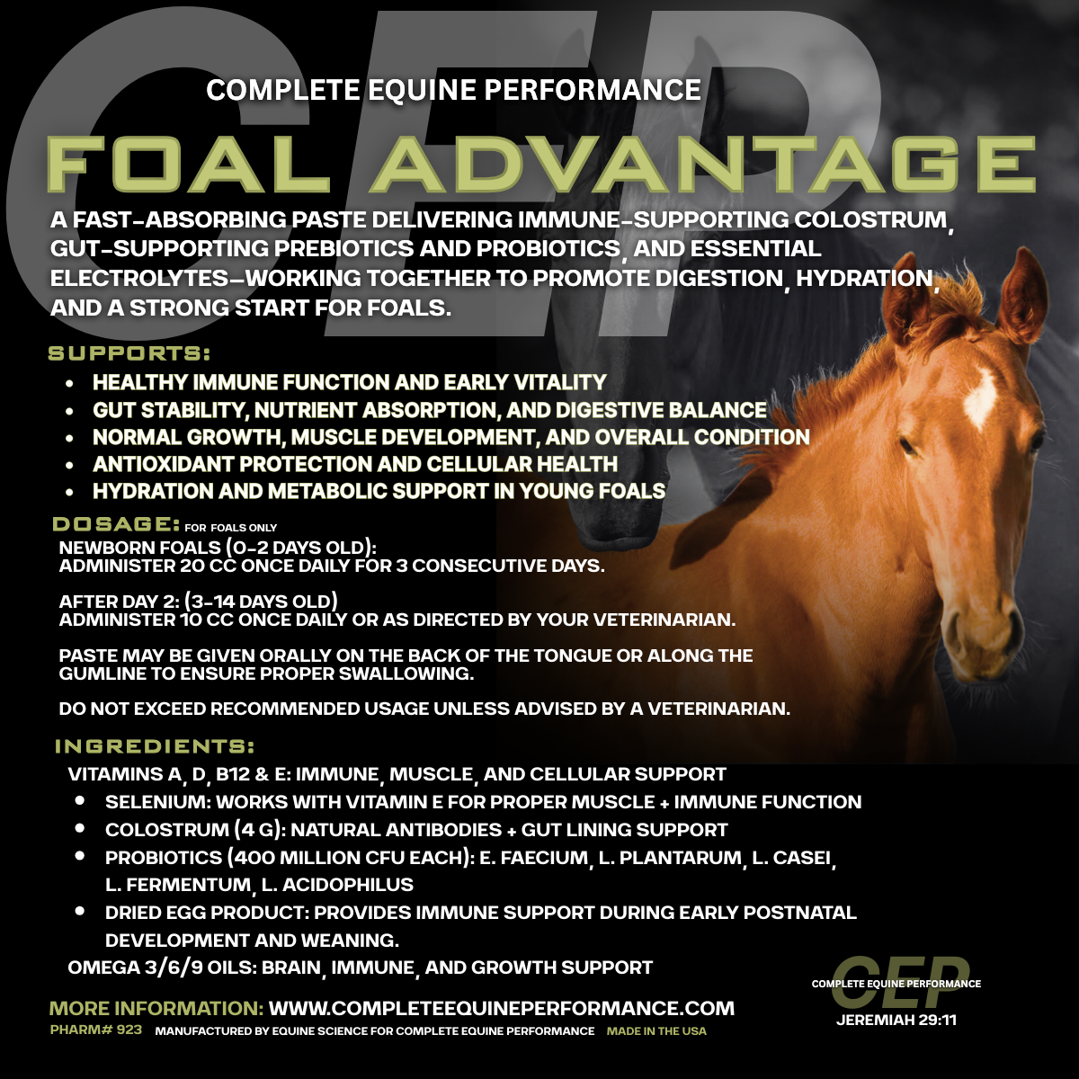CEP Foal Advantage