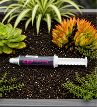 CEP Daily-Lung Paste Complete Equine Performance