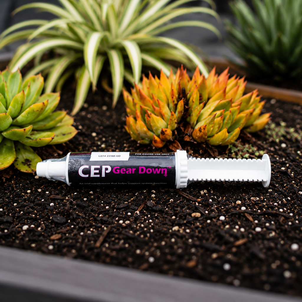 CEP Gear Down Paste  Complete Equine Performance
