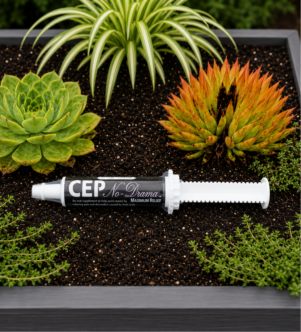 CEP No-Drama Paste  Complete Equine Performance