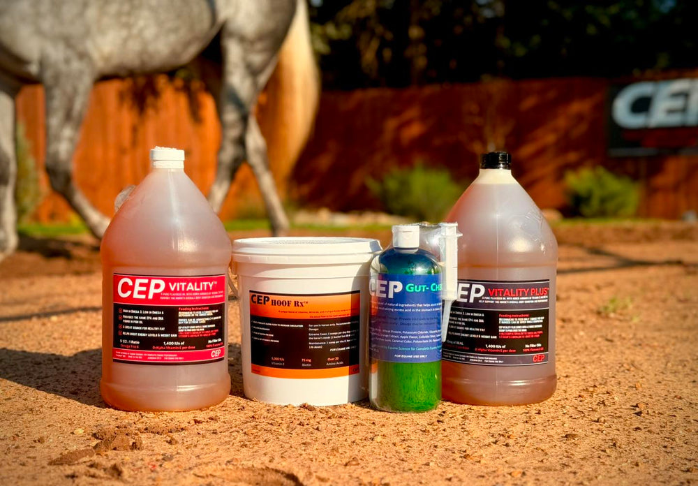 CEP Magic Trio