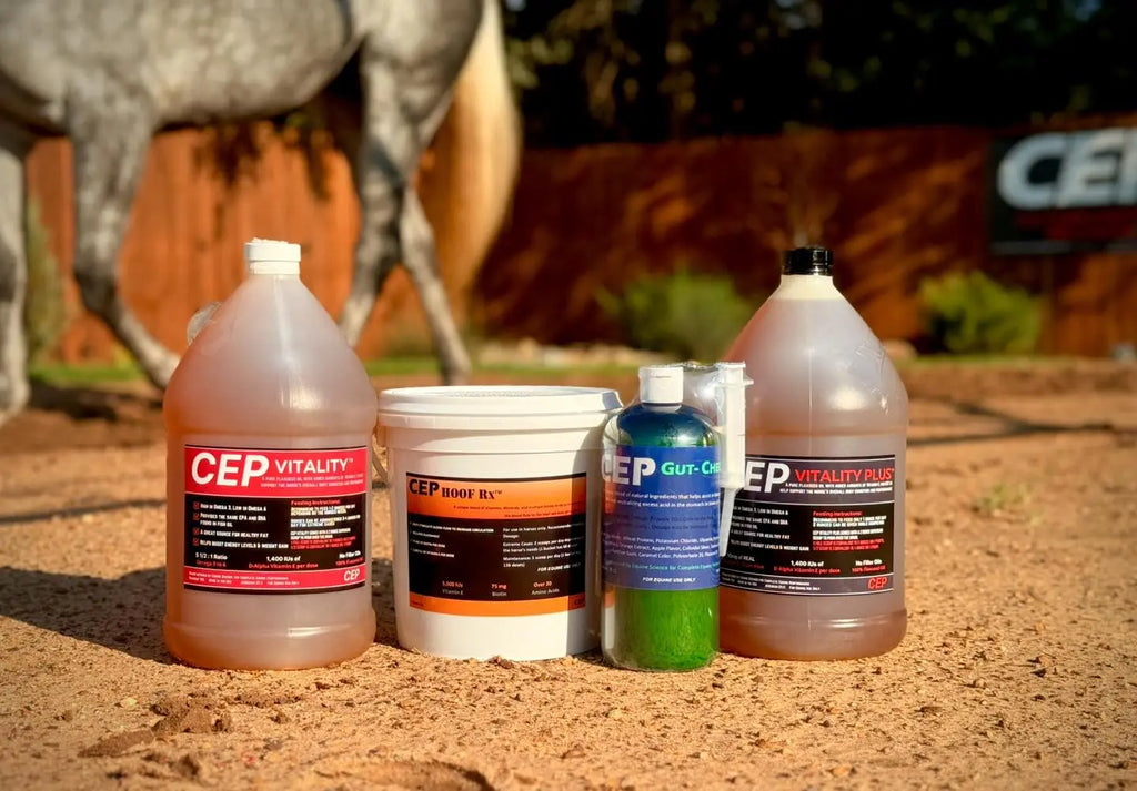 CEP Magic Trio Complete Equine Performance