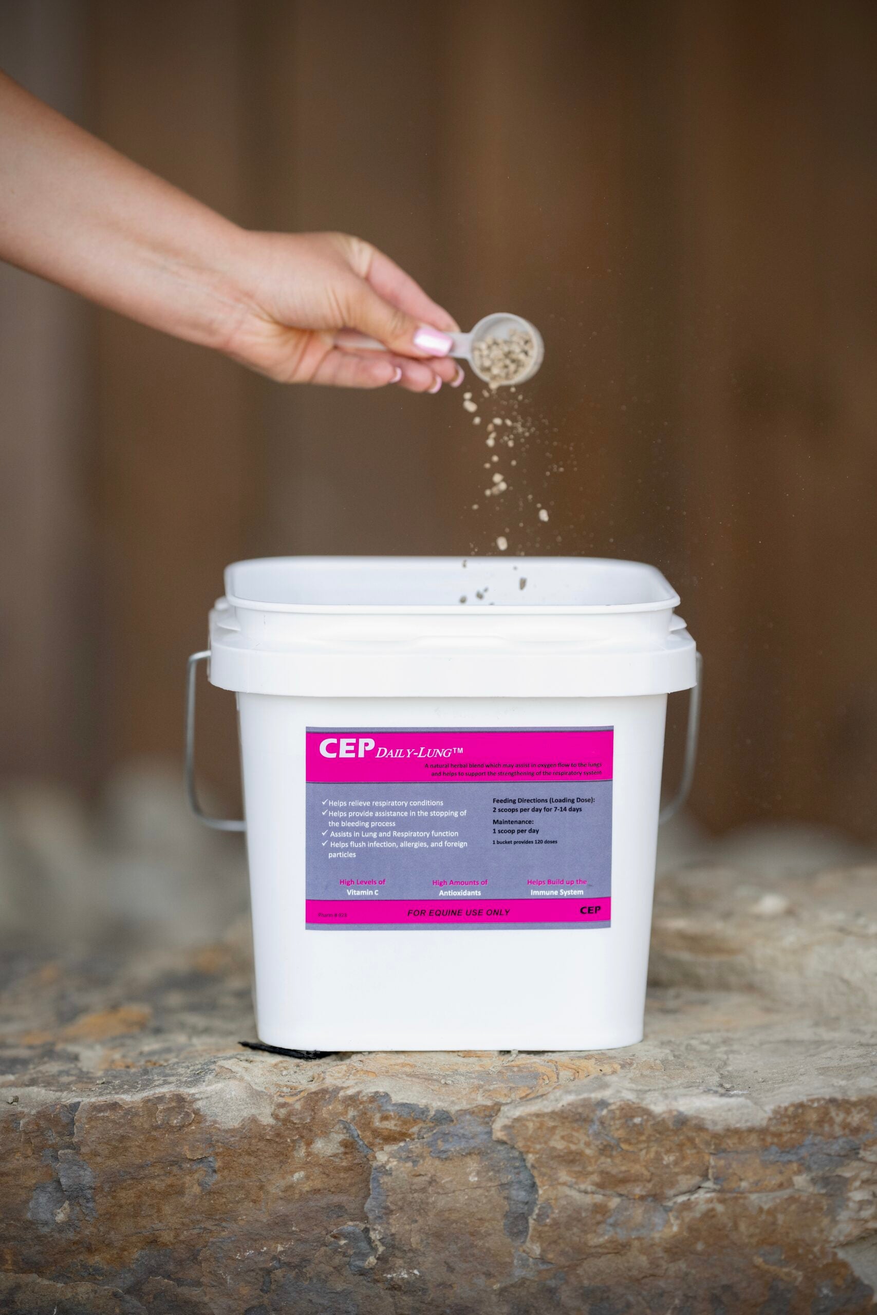 CEP Daily-Lung