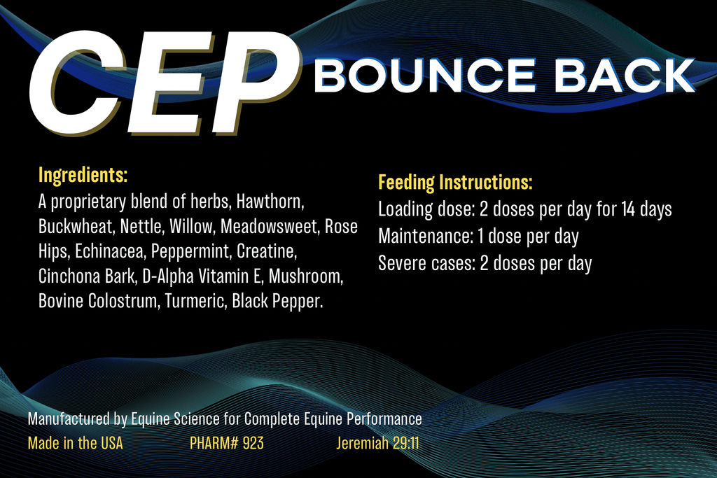 CEP Bounce Back