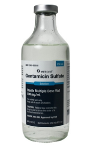 Gentamicin Sulfate Solution Injection – 100 mg/mL (250 mL Multi-Dose Vial)