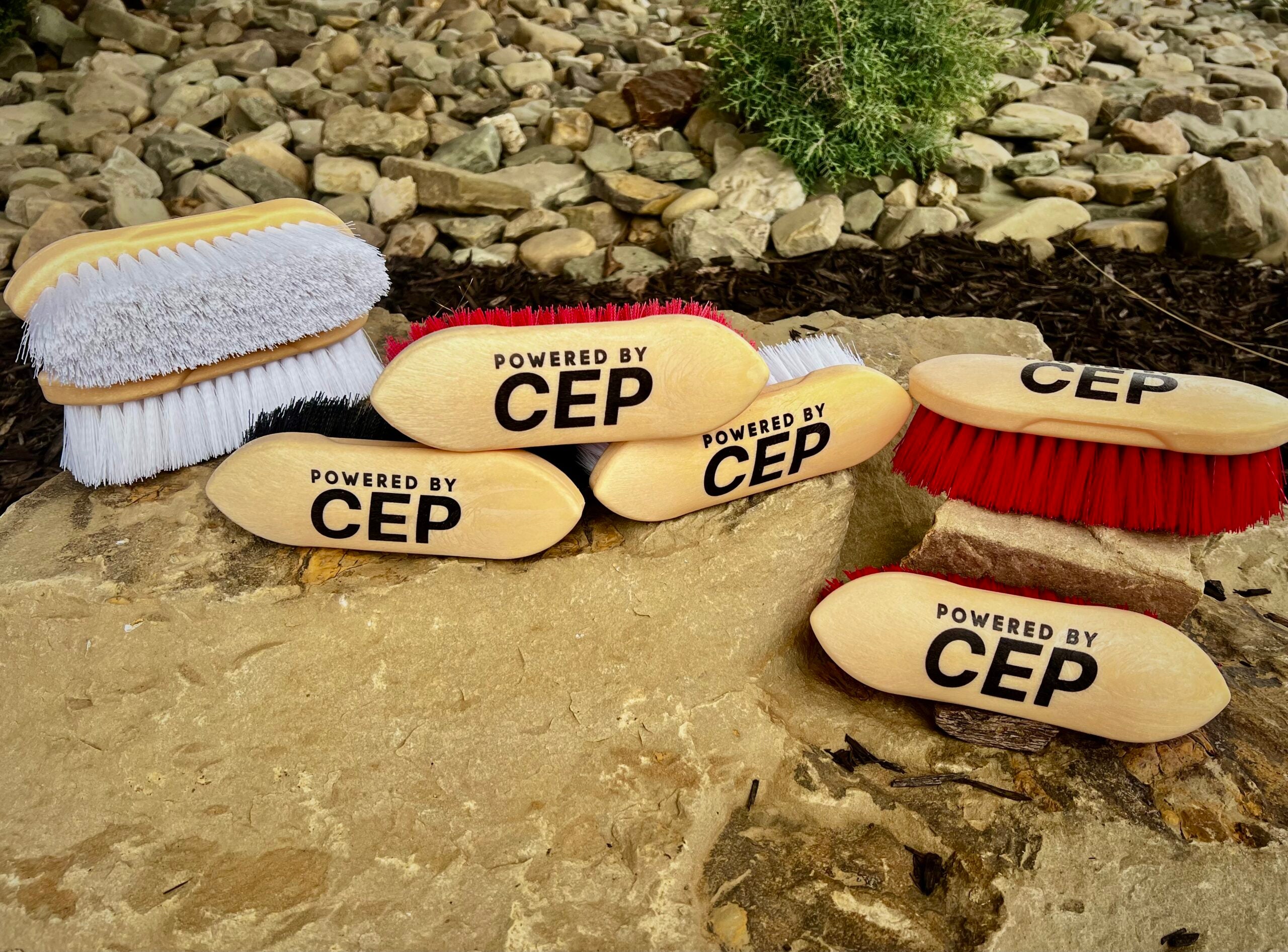 Medium Bristle CEP Brush
