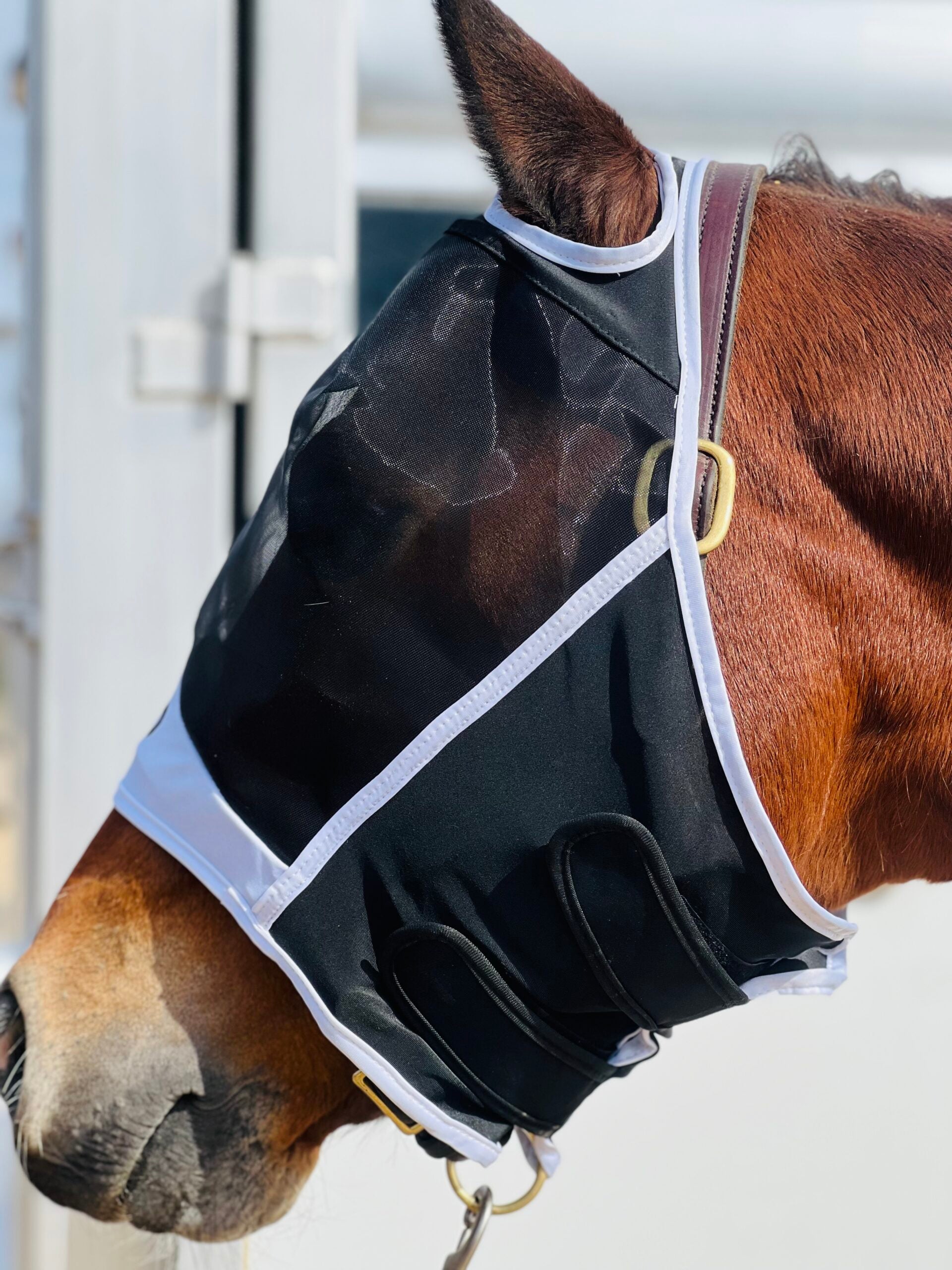 CEP Fly Mask