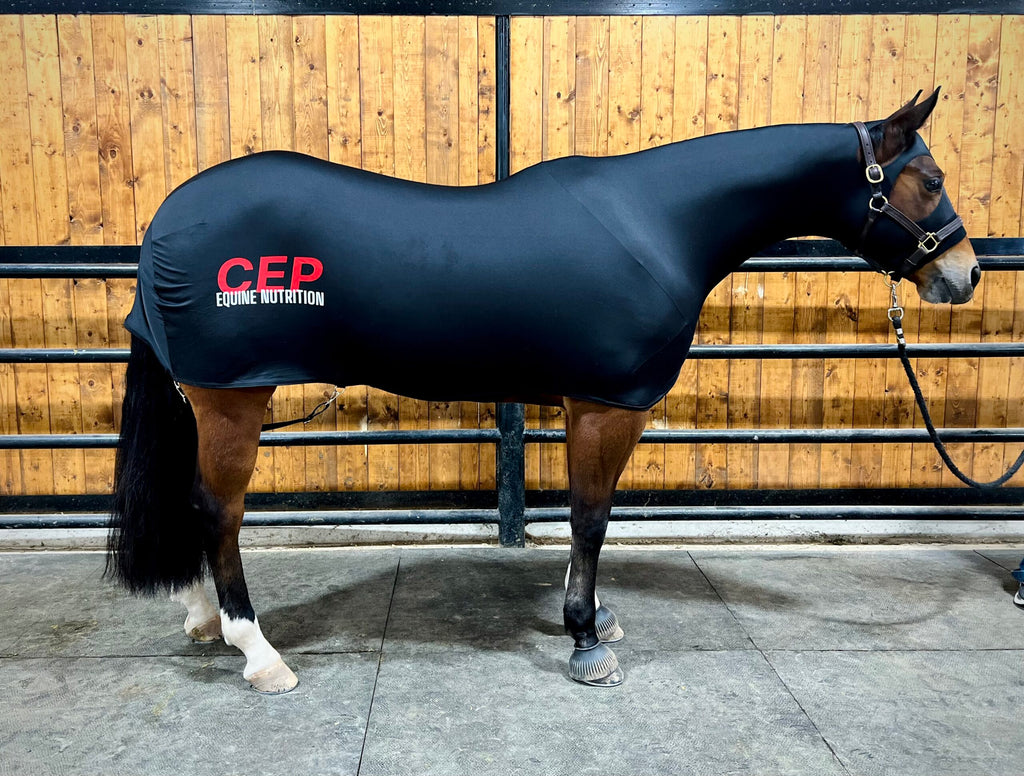 CEP Branded- Full Body Horse Slinky