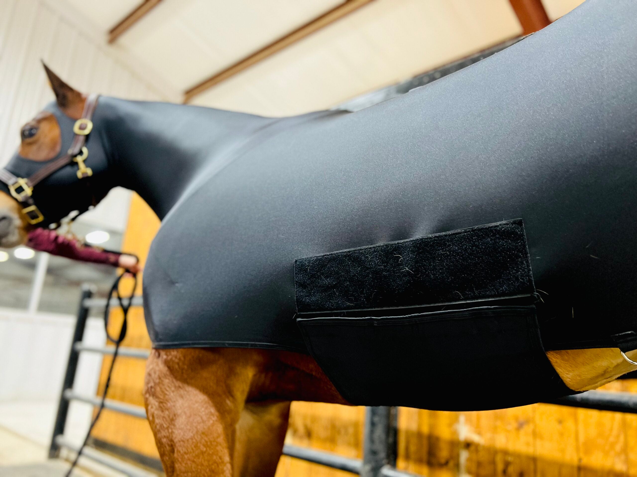 CEP Branded- Full Body Horse Slinky
