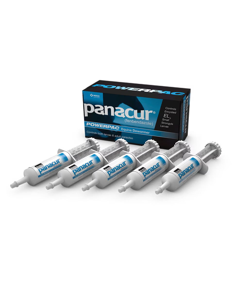 Panacur® PowerPac (Fenbendazole) Equine Dewormer – 5-Day Treatment Pack