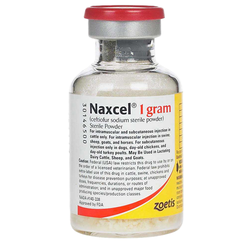 Naxcel (Ceftiofur Sodium) Sterile Powder, 1gm