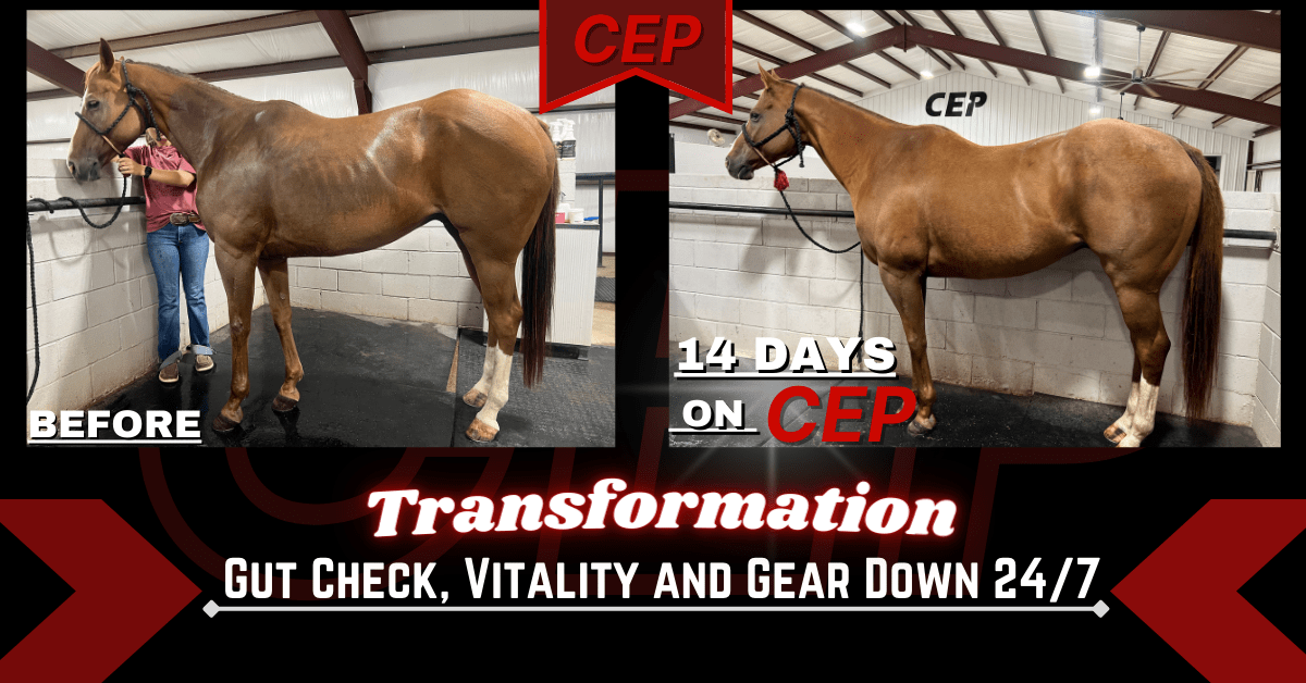 CEP Vitality 1/2 Gallon