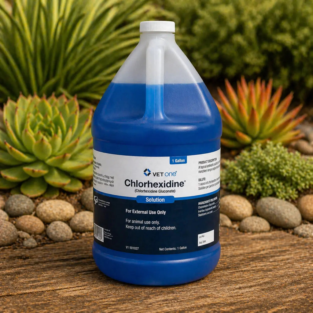 Chlorhexidine Solution 2%, 1 Gallon VetOne