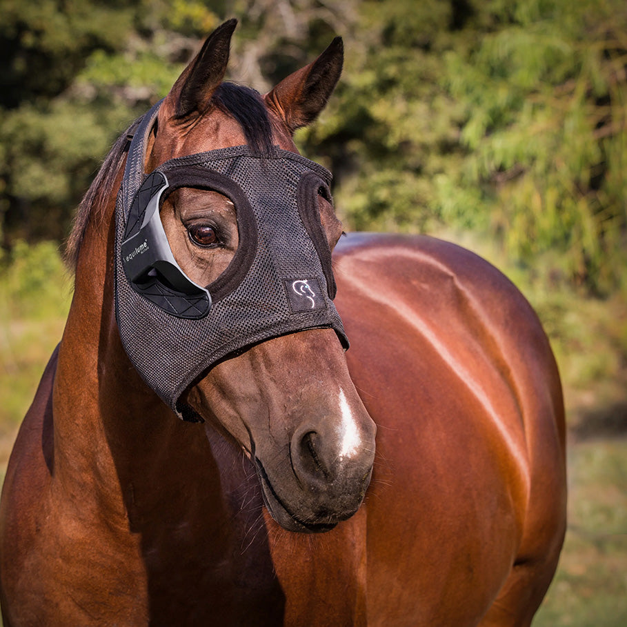Equilume Belfield Light Mask  Complete Equine Performance