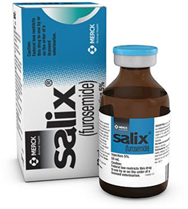 Salix® Injectable (Furosemide Injection) – 50 mg/mL (50 mL)