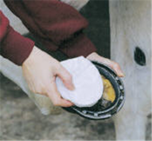 Animalintex Hoof Poultice, Pre-Cut Hoof Shape, 3 Count