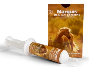 Marquis (15% w/w Ponazuril) Antiprotozoal Oral Paste, 127gm