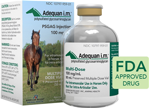 Adequan® i.m. PSGAG Injection for Horses – 100 mg/mL (50 mL Multi-Dose Vial)
