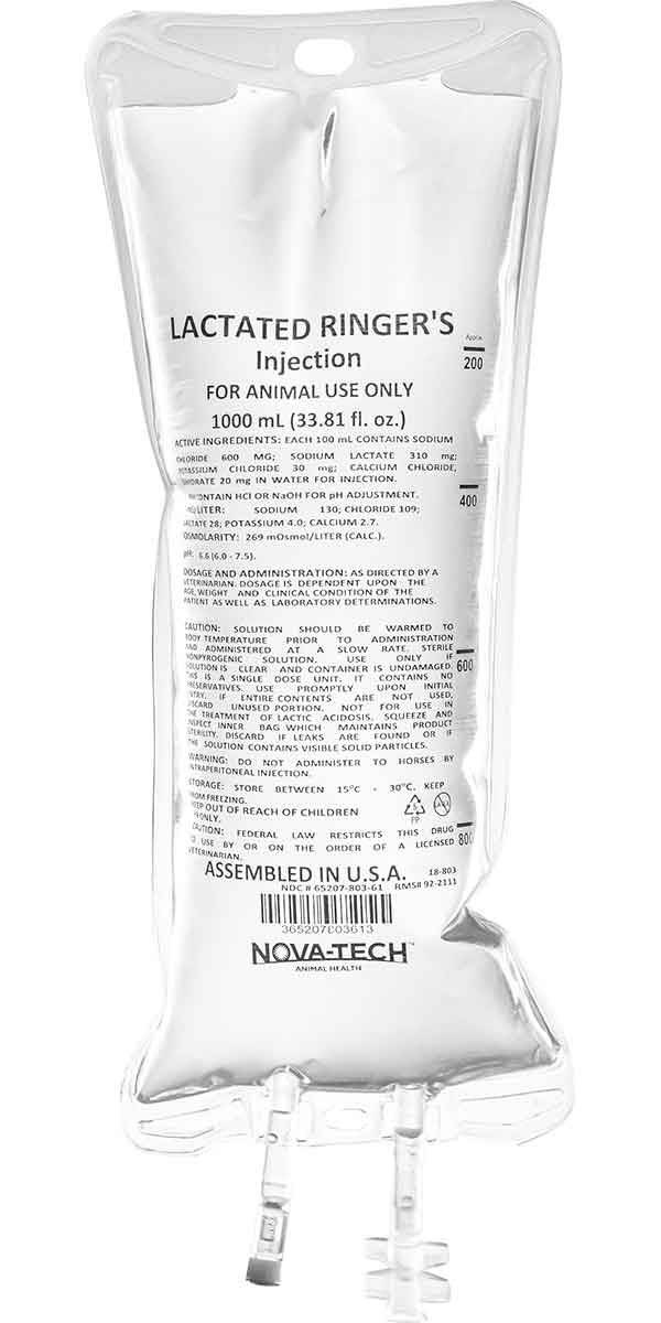 Lactated Ringer's Injection, 1000mL